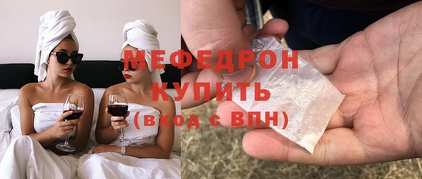 МДПВ Бородино