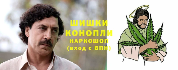 МДПВ Бородино