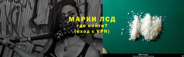 МДПВ Бородино