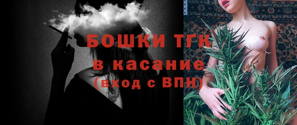МДПВ Бородино