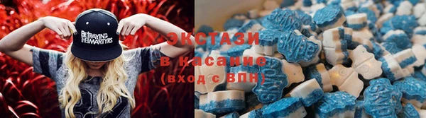 МДПВ Бородино